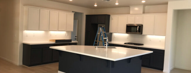 A beautifully lit and freshly painted kitchen.